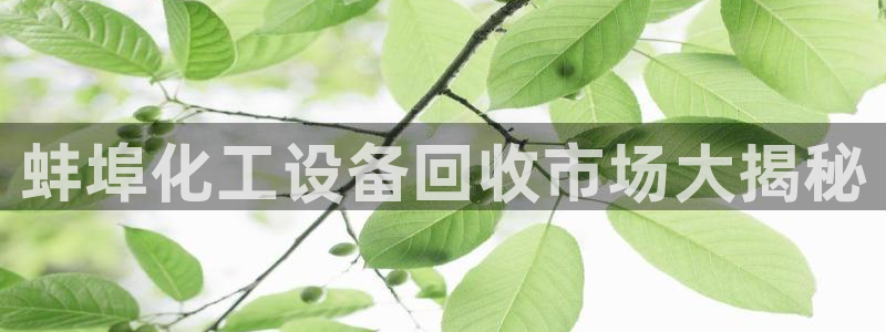 美狮官版2023最新版下载安装