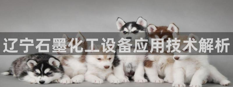 美狮贵宾会下载官方