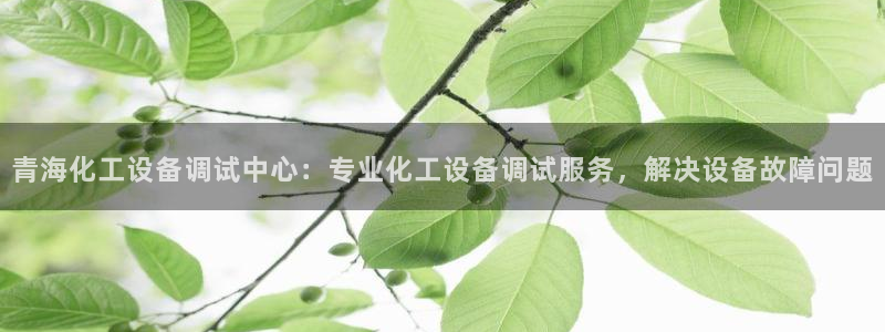 美狮会客服官网