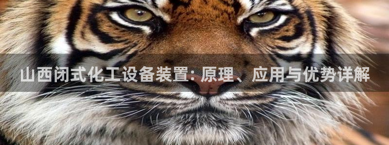 美狮贵宾会输了几万