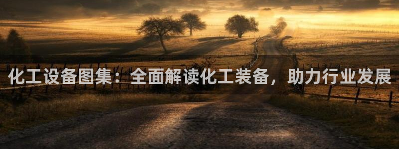 美狮贵宾会怎么不到了