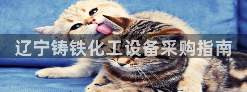 美狮贵宾会邀请码